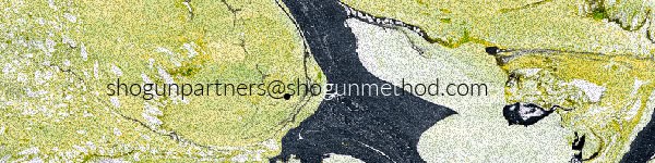 partners-2
